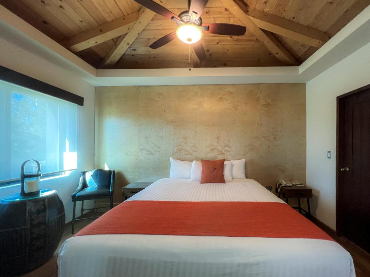 Master Suite with Terrace